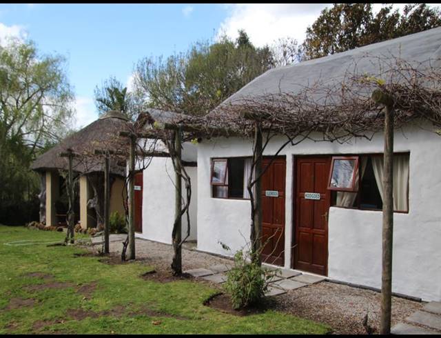 37HA FARM FOR SALE IN CALEDON RURAL